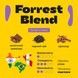 Forrest Blend Coffee №81 by BUNO. | Ground Coffee, Roasted for Espresso, Grind for Espresso, 250 g 300000001407 photo 2