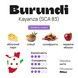 Arabica Burundi Kayanza Coffee №12 by BUNO. | Ground Coffee, Roasted for Filter, Grind for Moka Pot, 250 g BK12-CGARC-FM250 photo 2