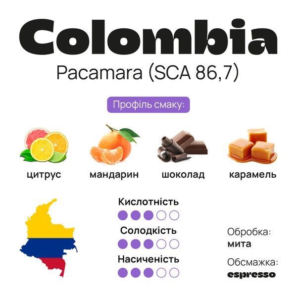 Арабіка Colombia Pacamara (SCA 86.7) Кава №76 від BUNO. | Кава мелена, Обсмажування &ndash; Еспресо, Помел &ndash; Гейзер, 250 г CP76-CGARC-EM250 фото