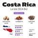Арабика Costa Rica La Isla Кофе №13 от BUNO. | Кофе молотый, Обжарка для Фильтр, Помол для Гейзер, 250 г CRL13-CGARC-FM250 фото 2